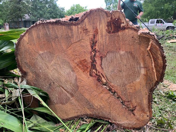 A large piece of wood is sitting on the ground in a field.