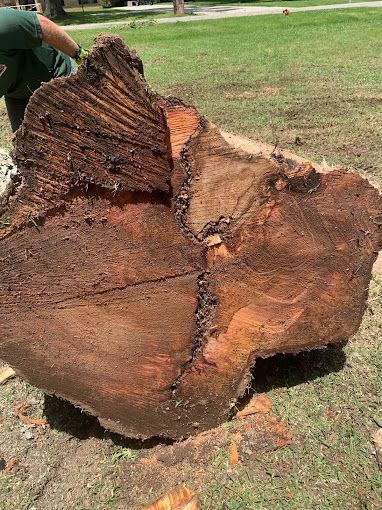 A large piece of wood is sitting on top of a lush green field.