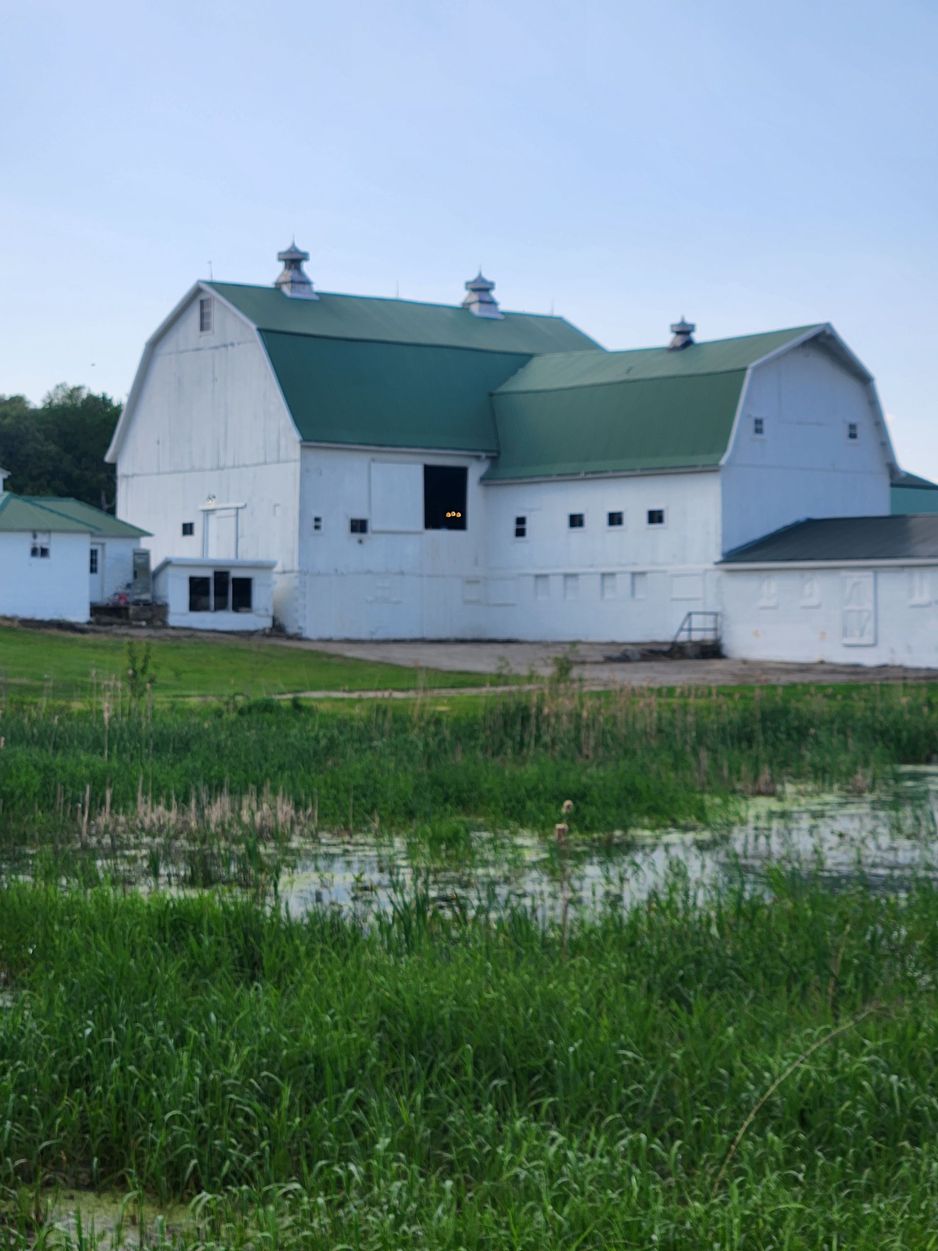 A white barn with a green roof sits in the middle of a grassy field