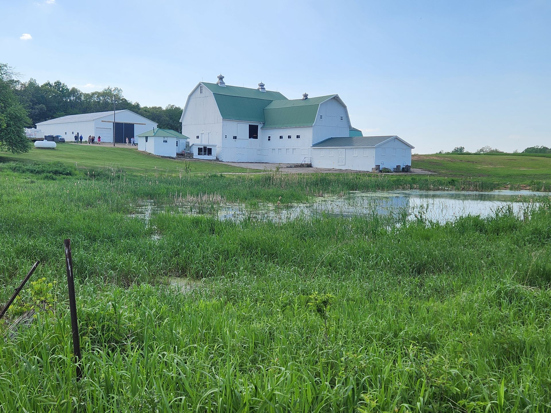 A white barn with a green roof is in the middle of a grassy field.