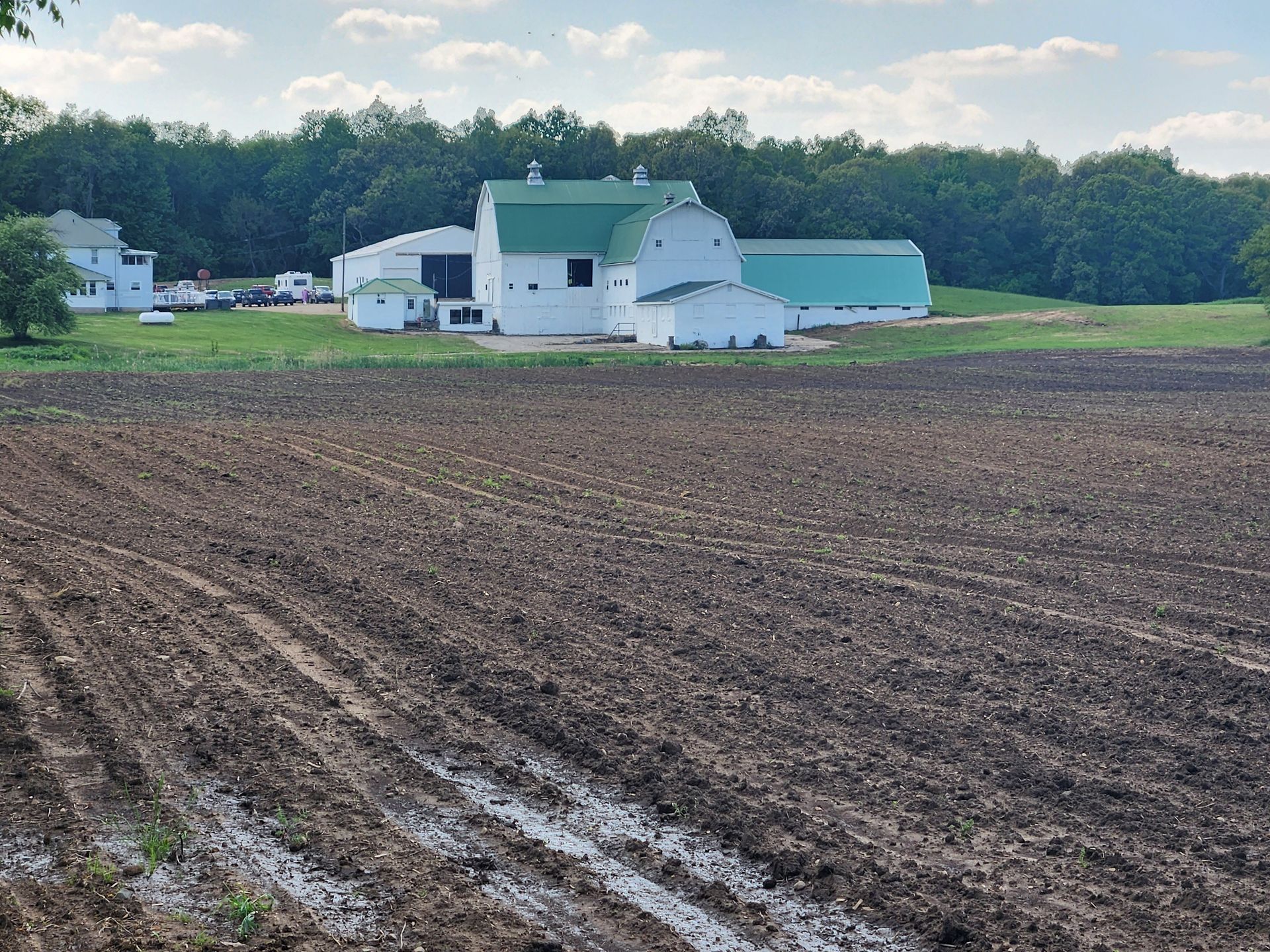 A white barn with a green roof sits in the middle of a muddy field