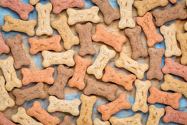 Low Calorie Treats for Dogs: Why Every Bite Matters