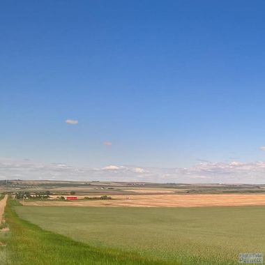 Early summer view of farmyards and many grain fields extending towards the horizon over lightly rolling hills in Western Canada.