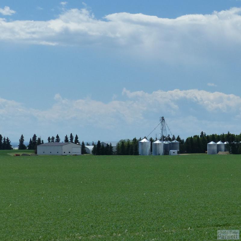Blick auf einen modernen kanadischen Agrarbetrieb mit einem Windschutz aus Bäumen, Geräteschuppen, einem Getreideanlage sowie einer zusätzlichen Reihe von über 10 Getreidesilos aus Stahl.