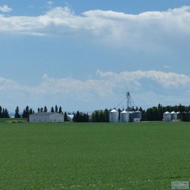 View of a modern Canadian farmyard with a tree wind break, equipment storage sheds, a grain elevator leg and bins plus an additional row of over 10 steel grain bins.