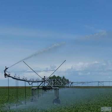 Irrigation water sprays out from the end nozzle and drop nozzles of a centre pivot irrigation system in Western Canada.