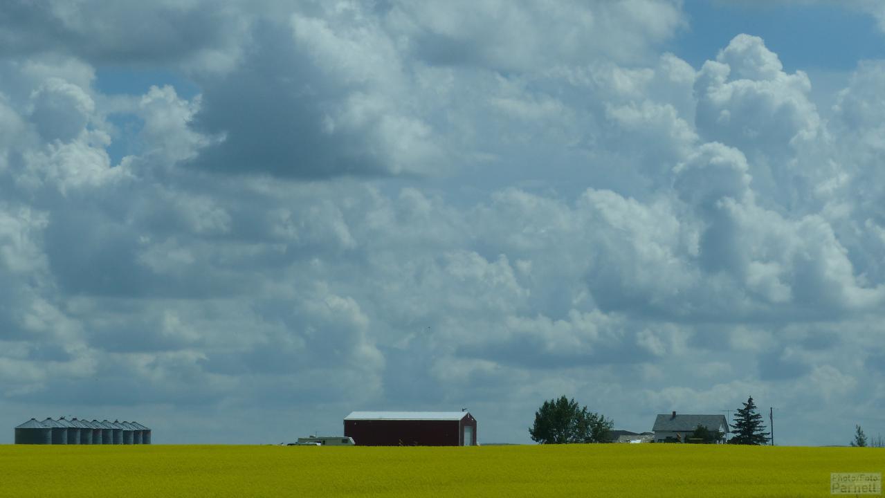 Bauernhof in West Kanada neben einem blühenden Rapsfeld.