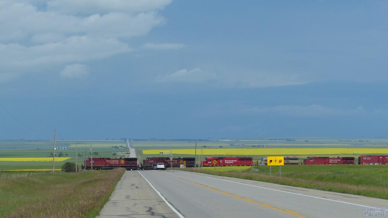 Long freight train crosses highway and fields on Canadian prairies.