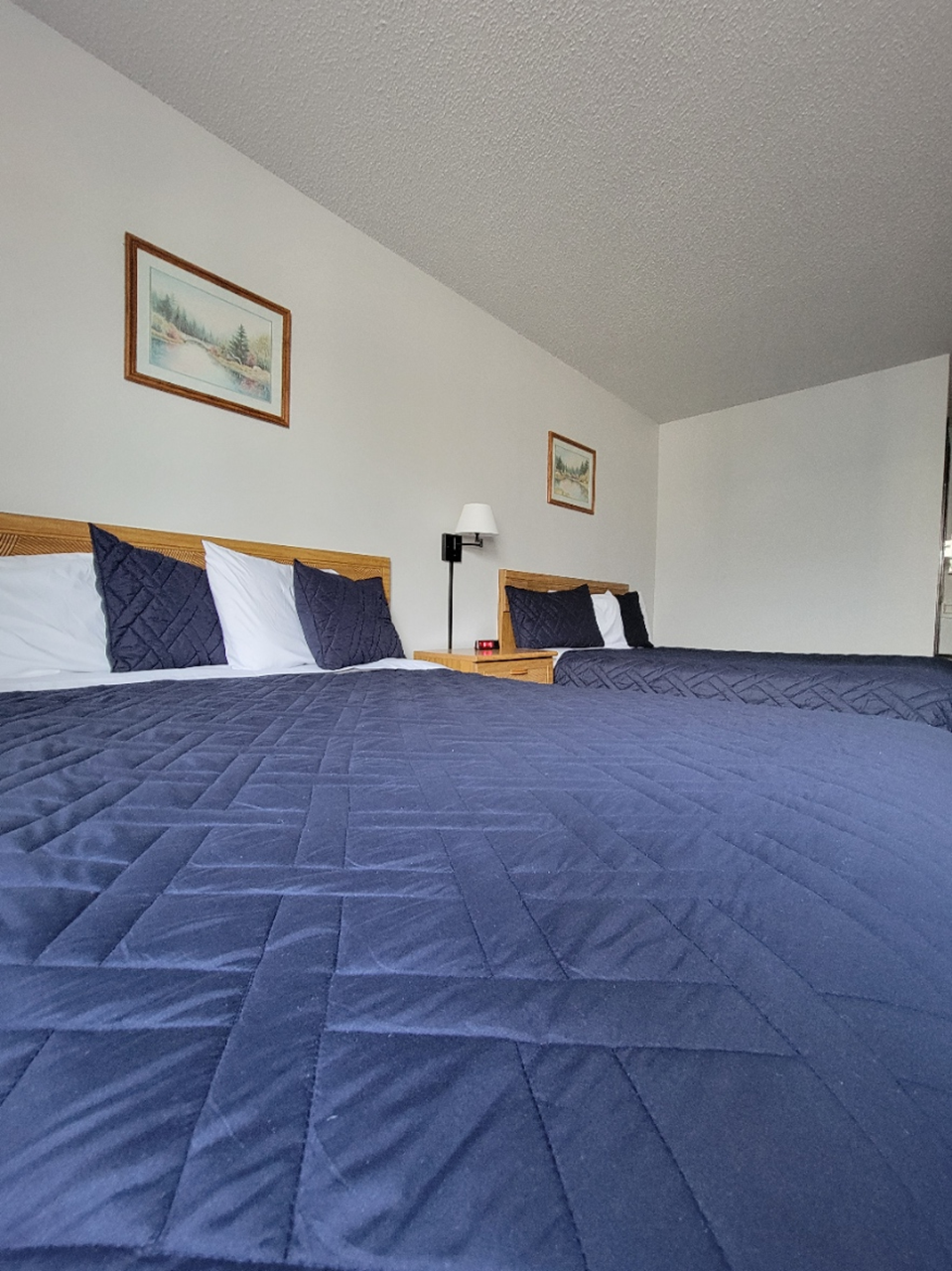 Bedroom with two double beds, blue bedding, wooden headboards, and small framed art.