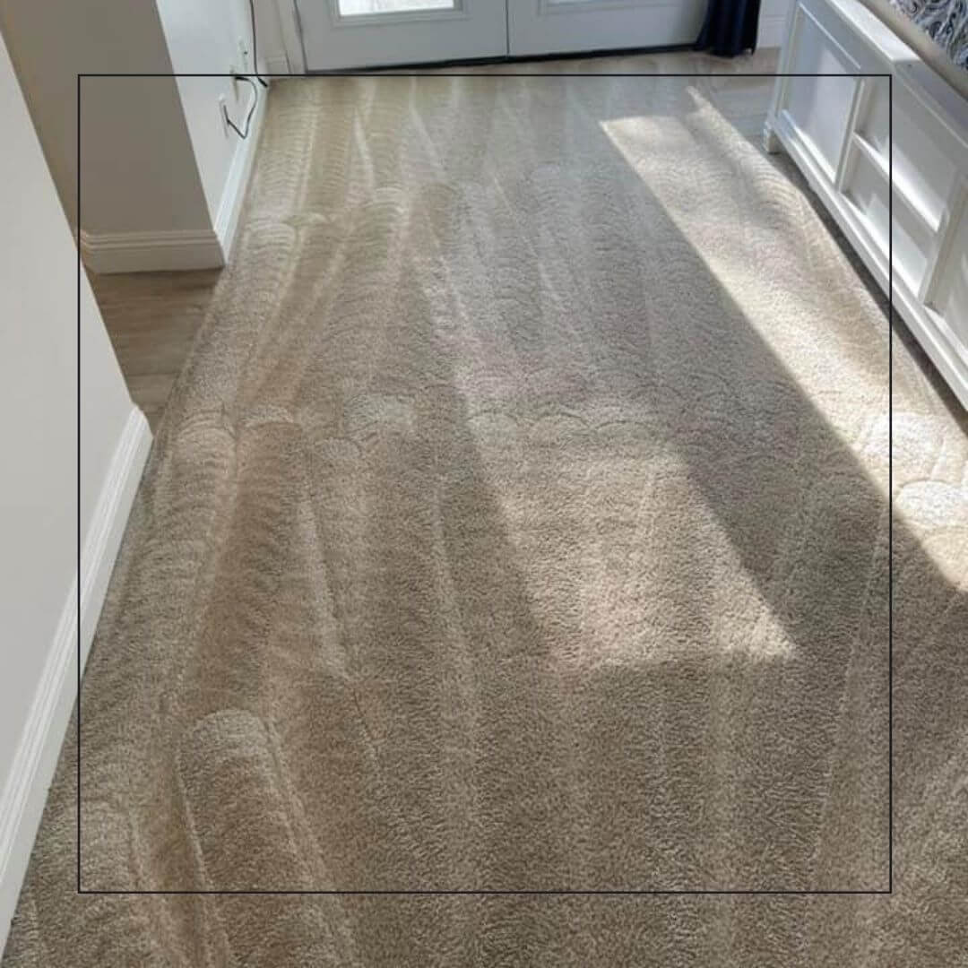 Temecula Carpet Cleaning