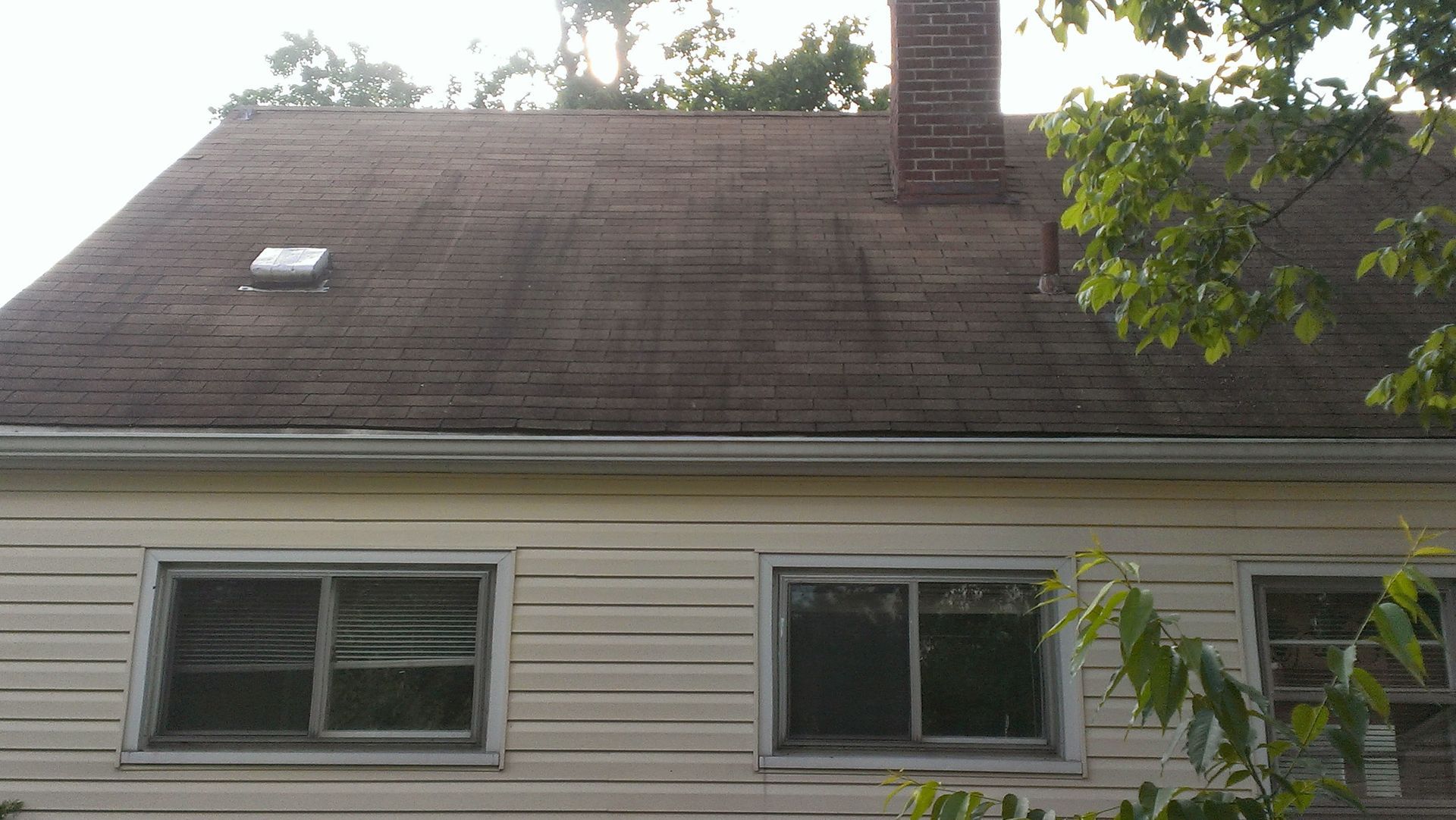 black streaks on roof before the roof wash