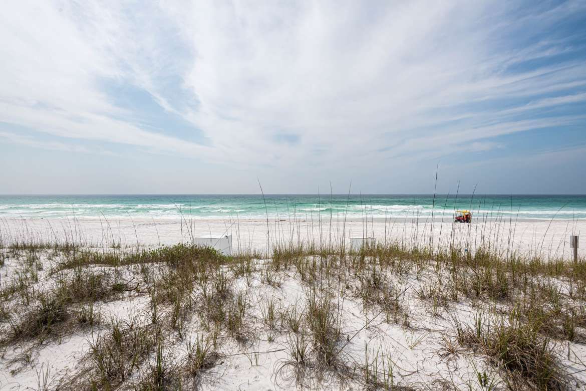 Fort Panic Regional Beach