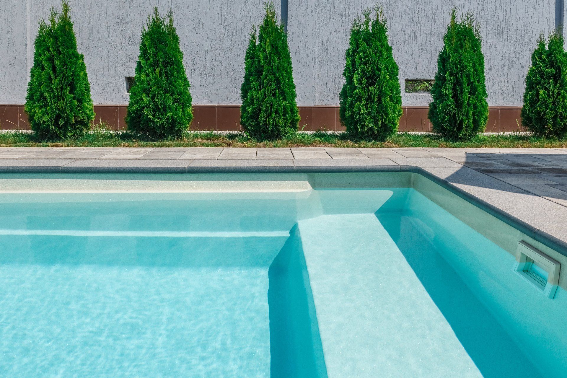 Rectangle pool edge with shrubs on background