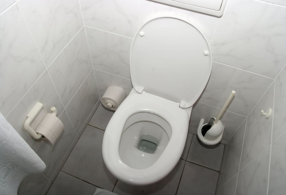 A toilet in a bathroom with a toilet paper holder and a toilet brush.