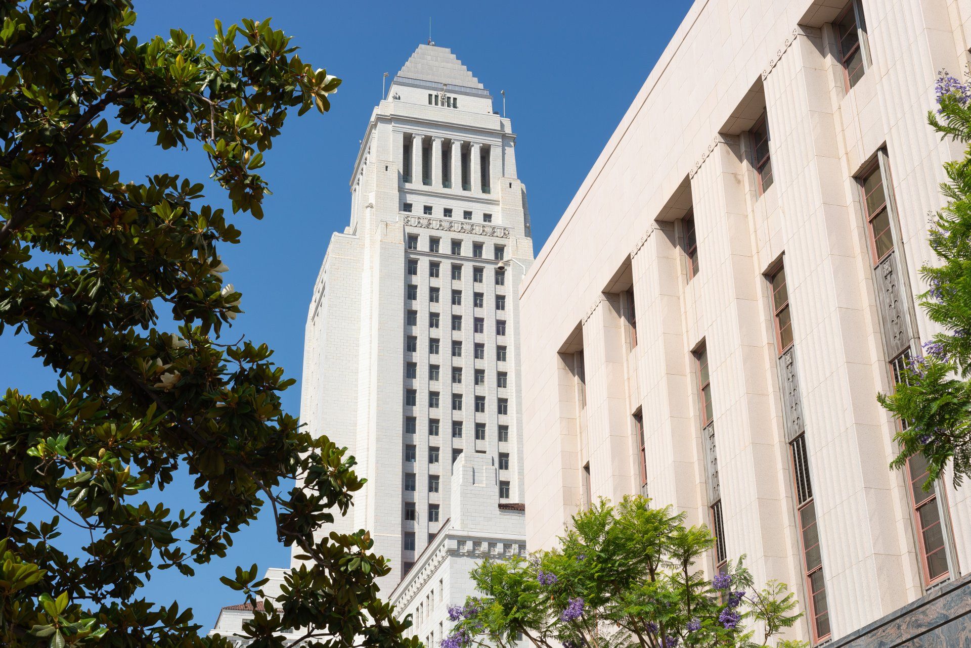 STATE & LOCAL GOVERNMENT