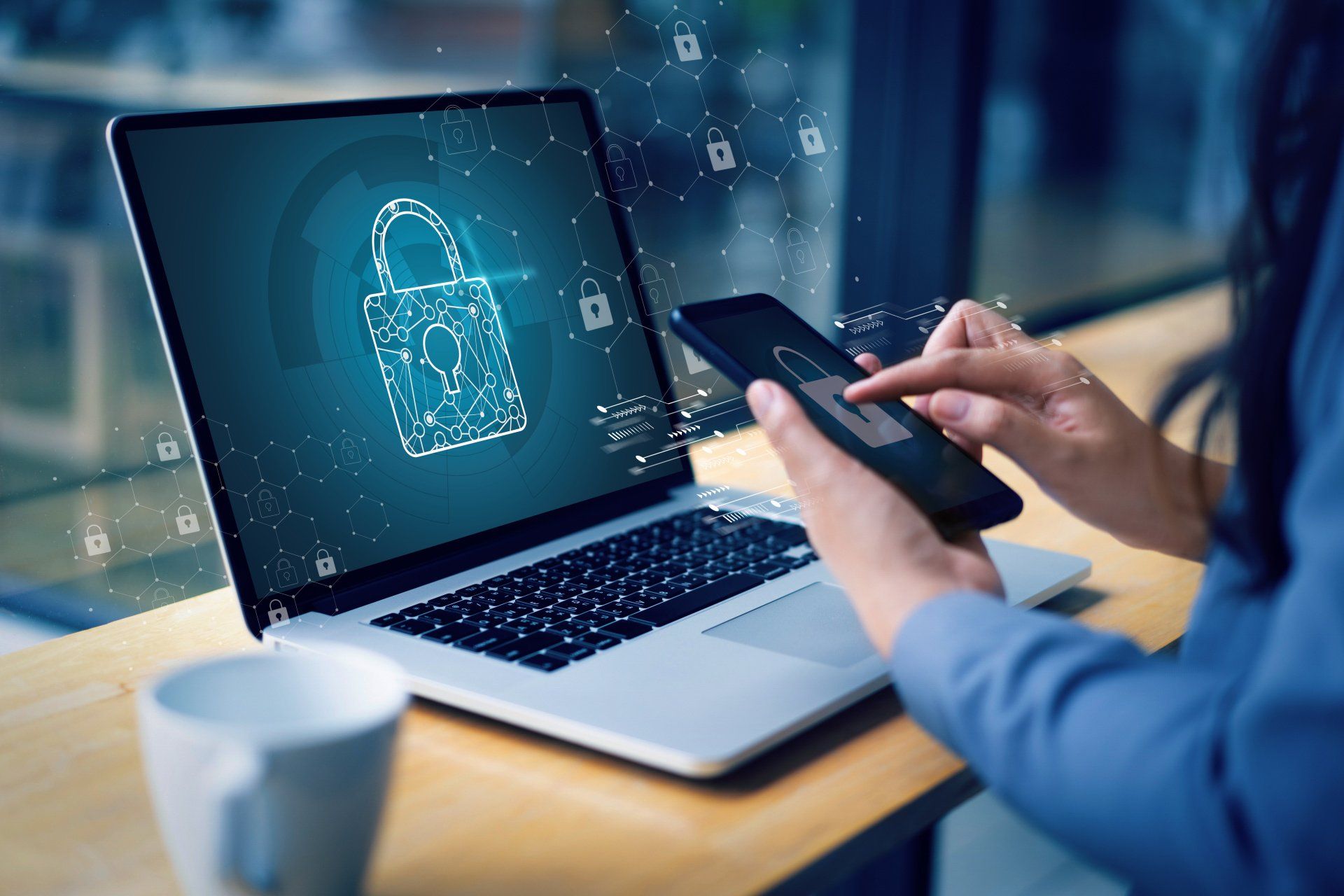 SAFEGUARD GOVERNMENT SECURITY