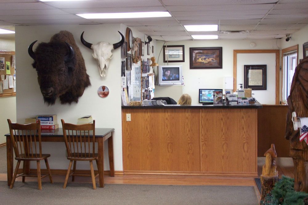 A room with a desk and chairs and a buffalo head on the wall