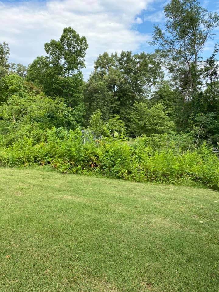 excavating maynardville tn