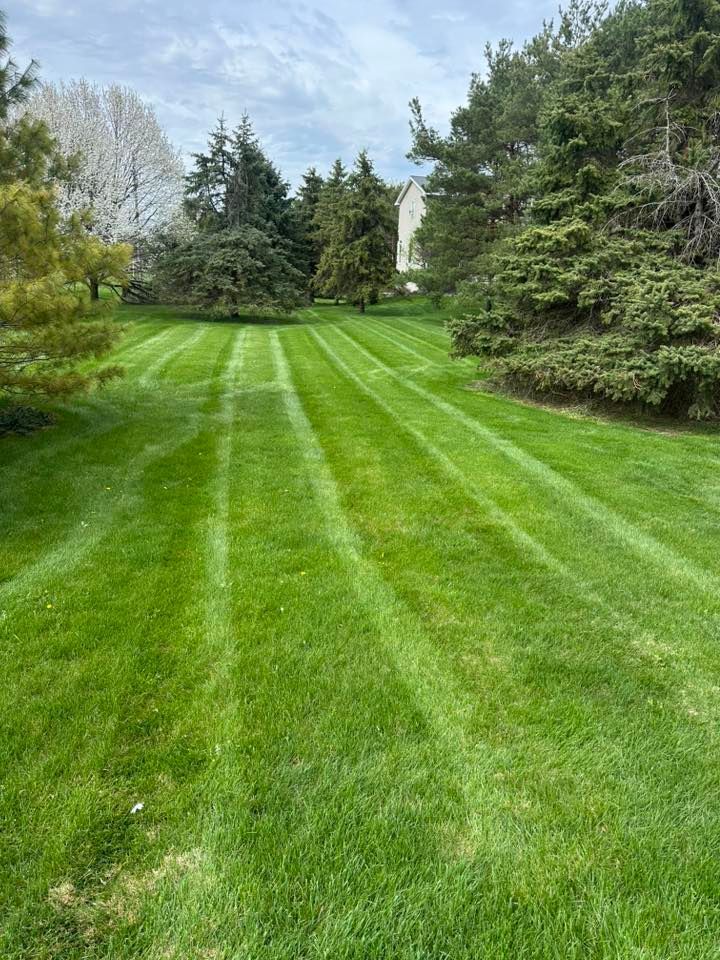 Lawn with vertical mowing stripes, flanked by trees and greenery under a cloudy sky.