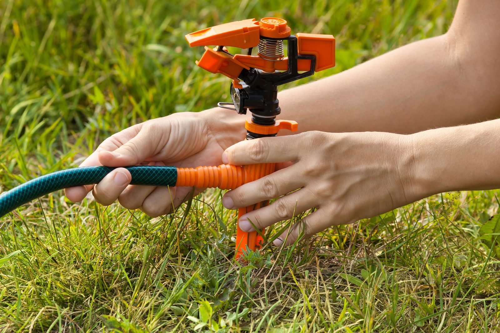 Person attaching a green garden hose to an orange sprinkler in grass.