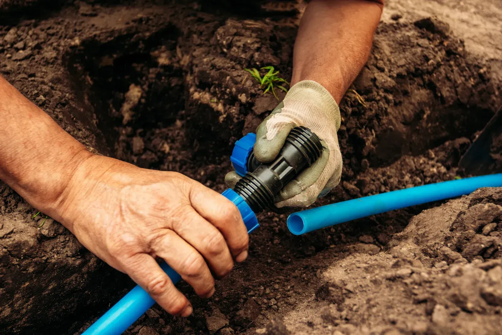 Hands assembling a blue plastic pipe and a black connector in a soil setting.