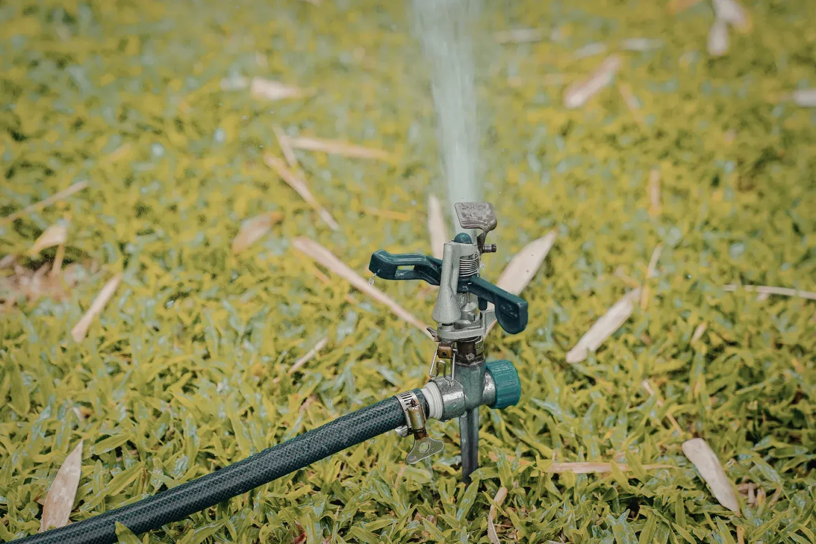 Sprinkler spraying water onto green grass.