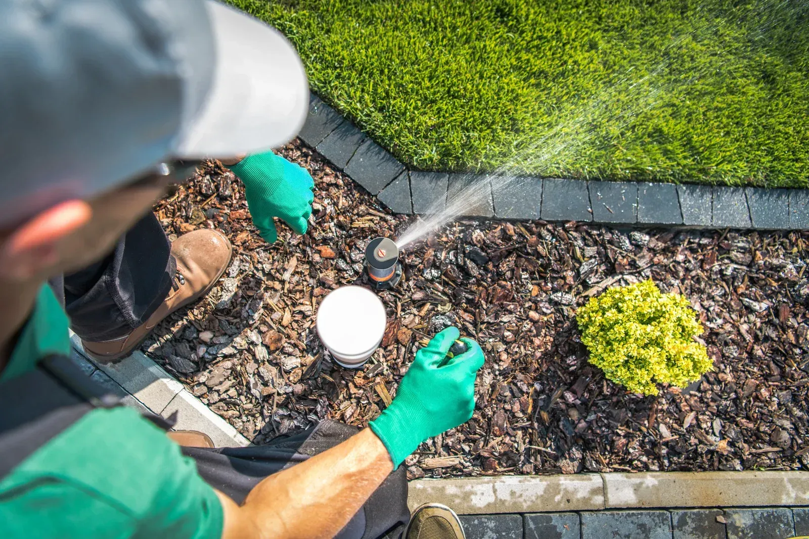 Person adjusting sprinkler head, wearing gloves, in a garden bed with mulch and grass.
