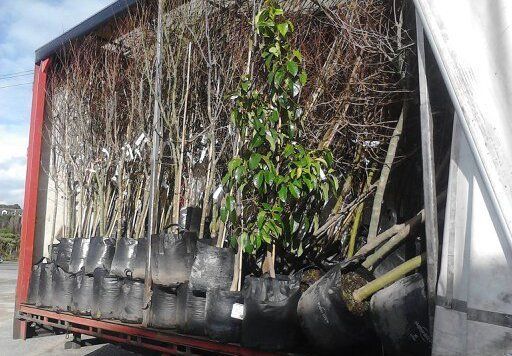 Haulage truck filled with garden and nursery products in Wanganui