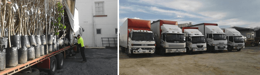 Trucks used for road freight services in Wanganui