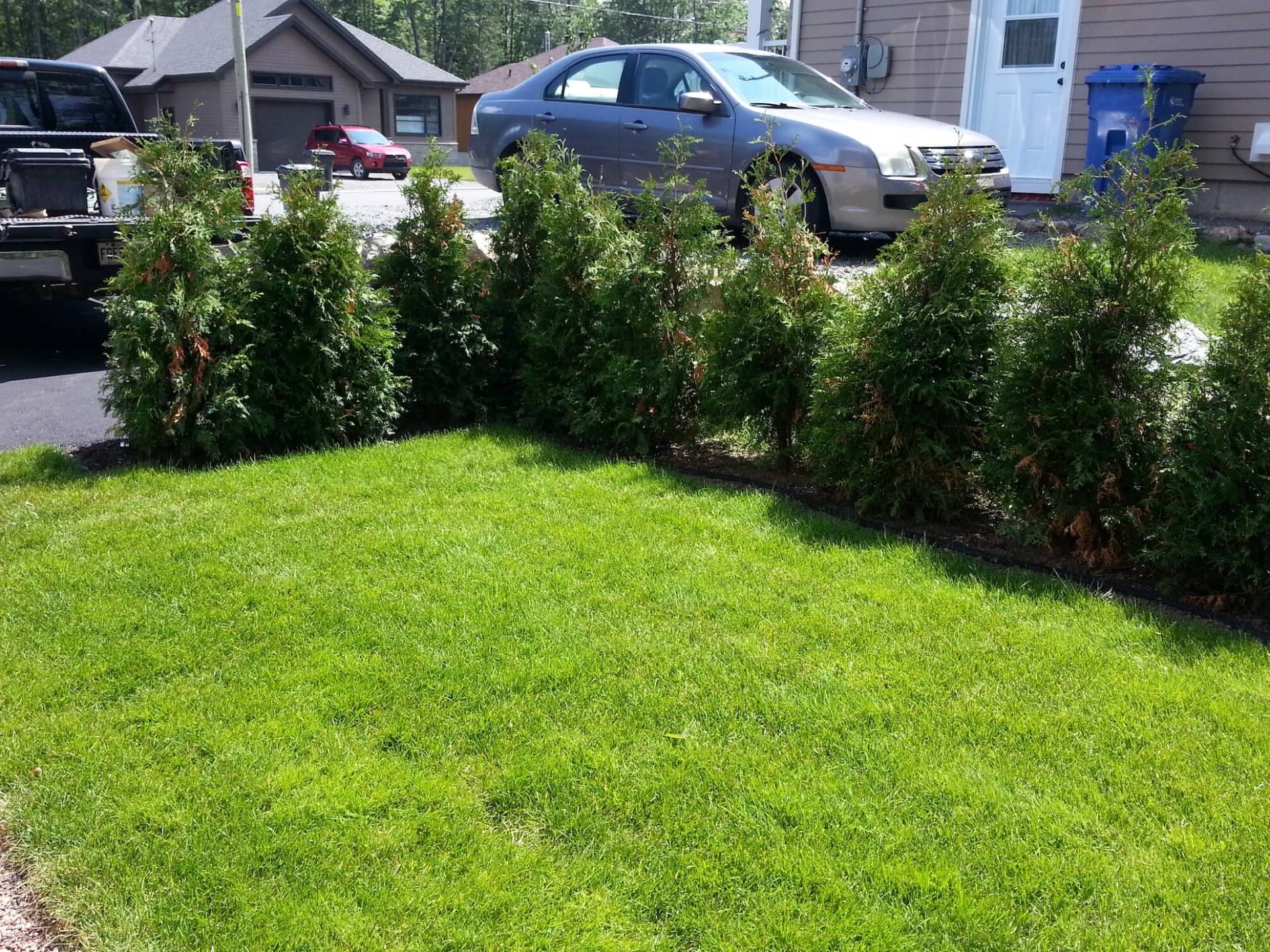 Une voiture est garée dans l'herbe devant une maison.