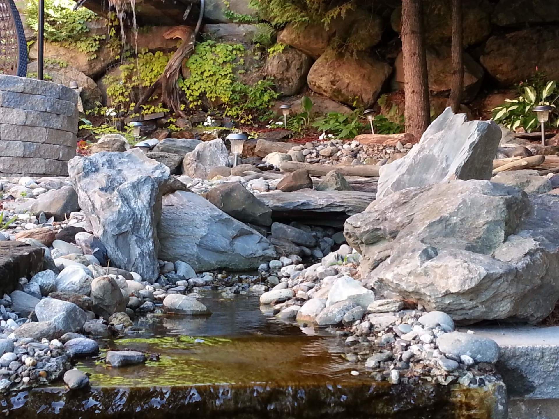 Un ruisseau d'eau entouré de rochers et d'arbres