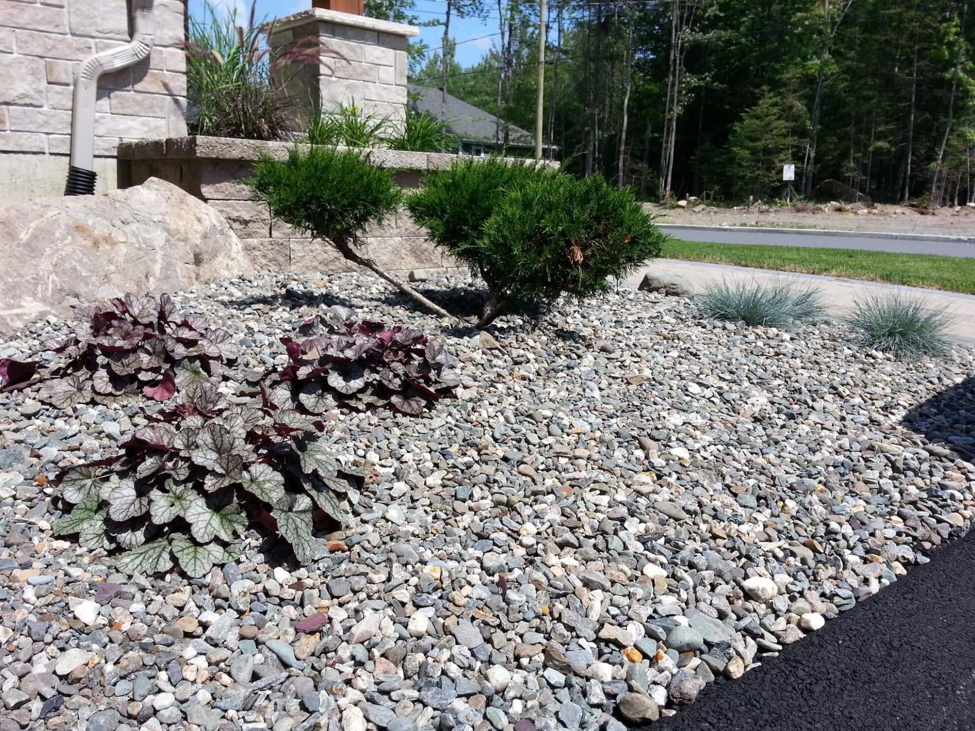 Un jardin de gravier avec des plantes et des arbres devant une maison.