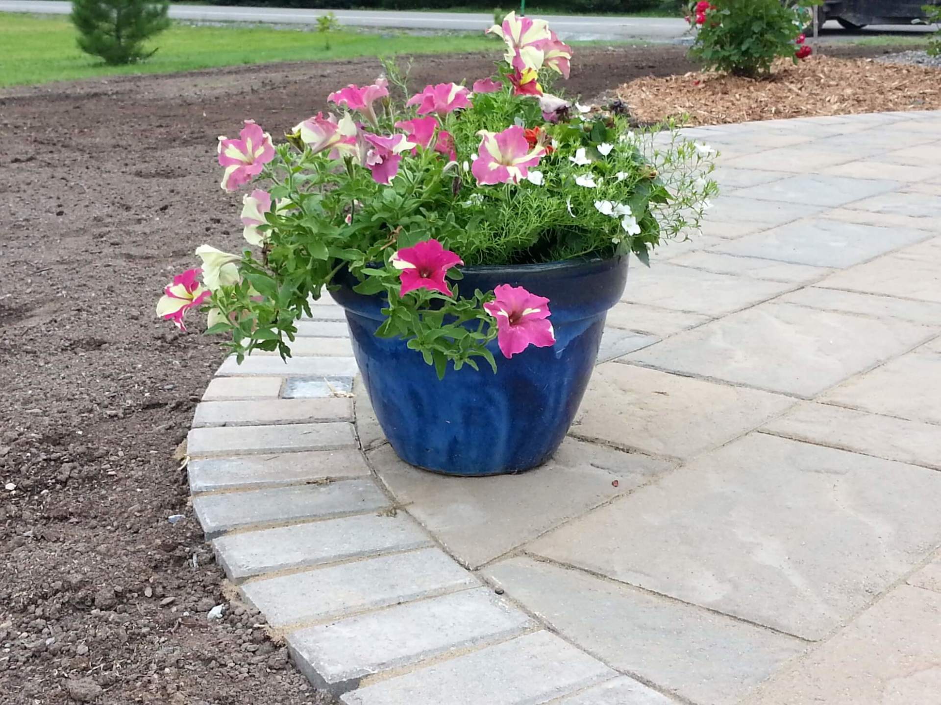 Un pot bleu rempli de fleurs roses et blanches