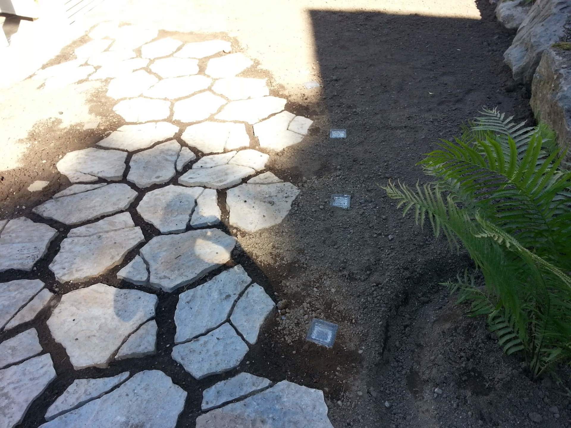 Une allée en pierre avec un palmier en arrière-plan