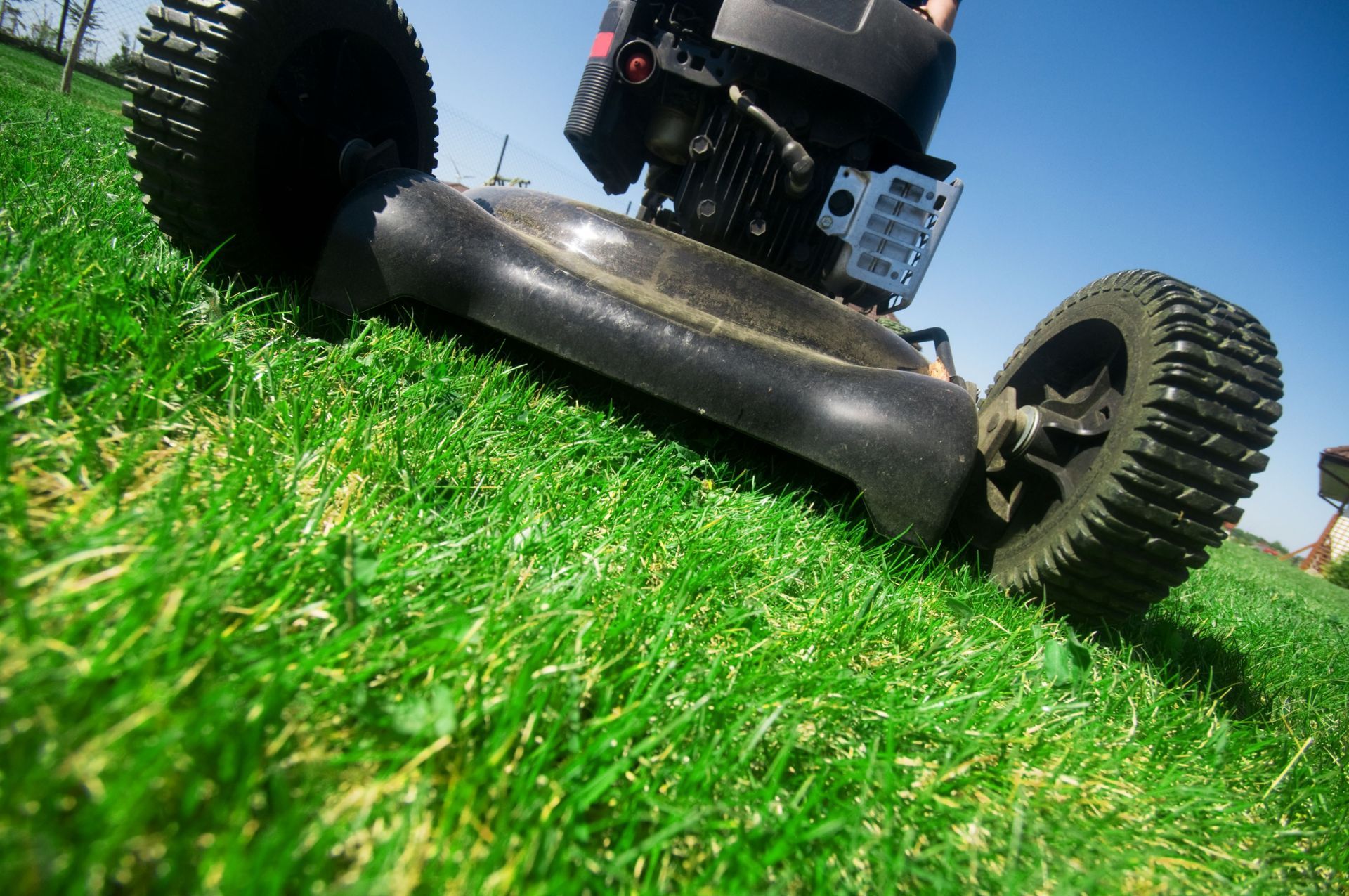 A person is mowing a lush green lawn with a lawn mower