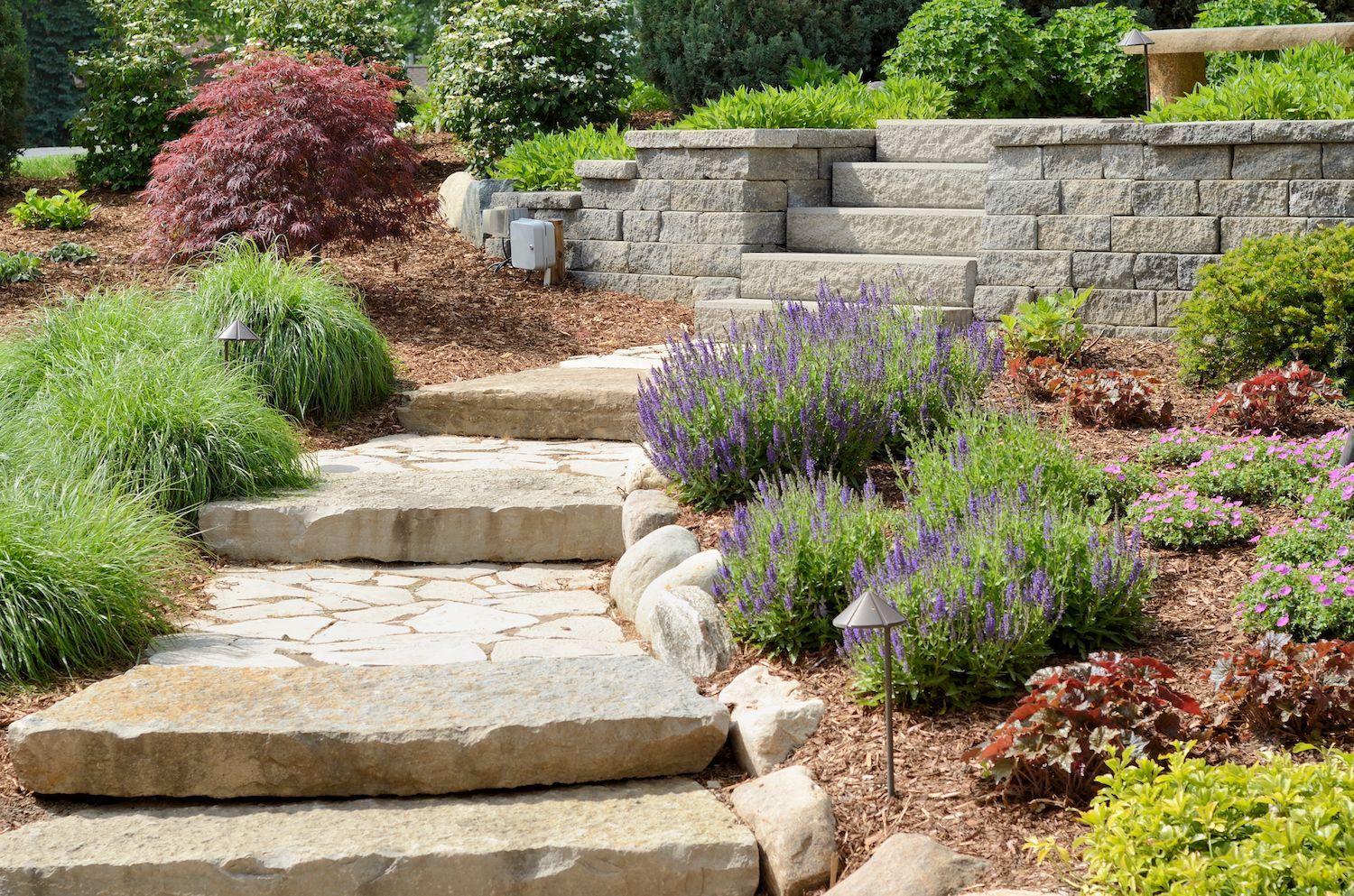 A stone walkway surrounded by flowers and plants in a garden.