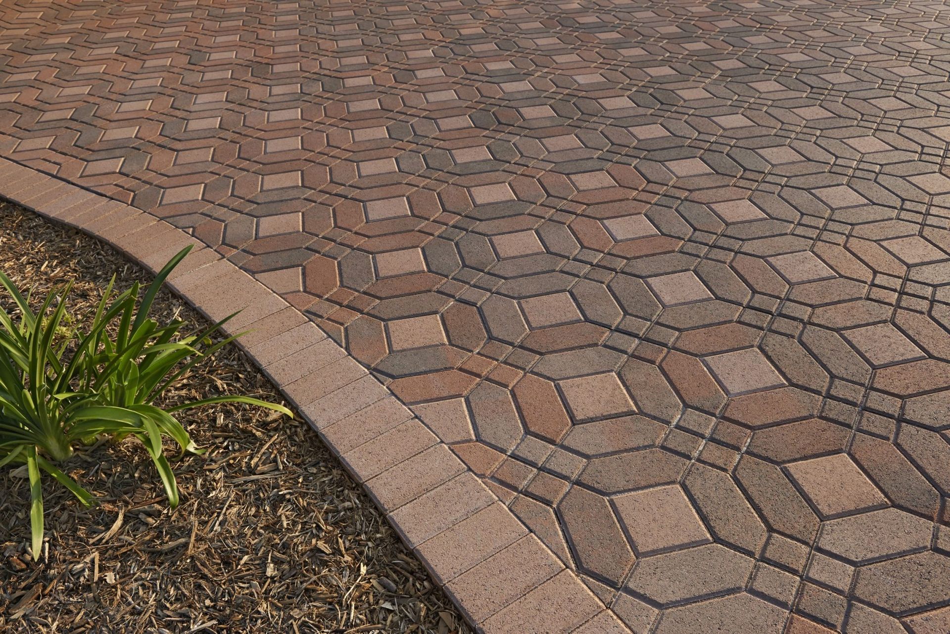 A brick walkway with a brick border and a plant in the background.