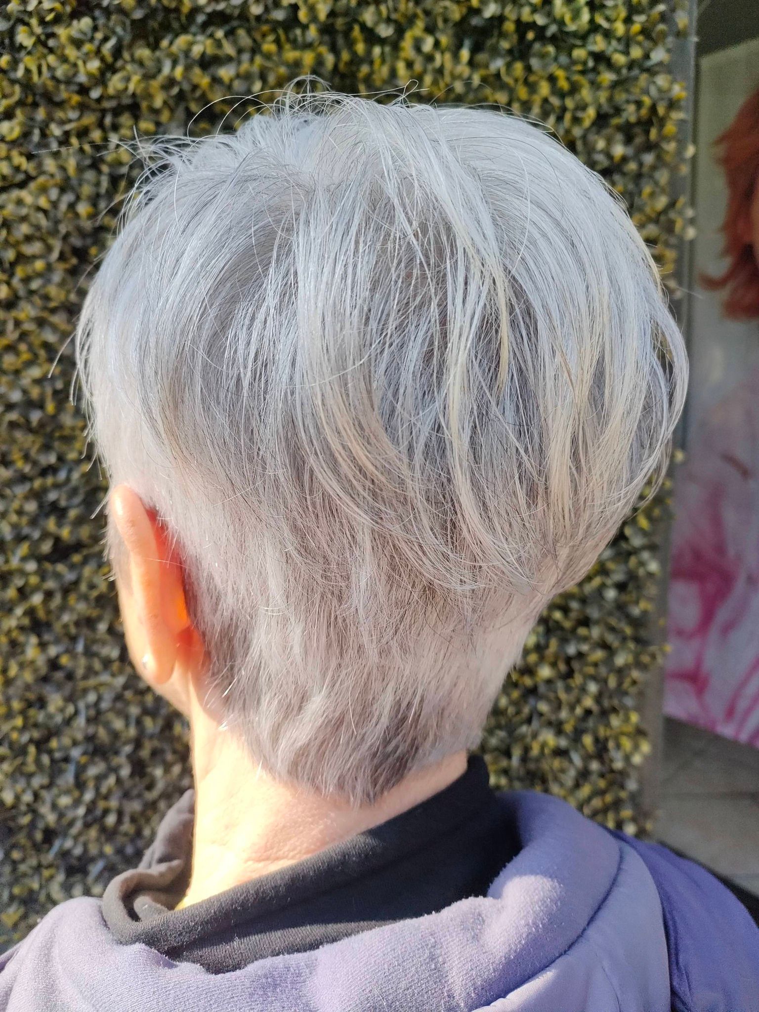 Primo piano di una persona con un taglio di capelli corto, scalato e di colore grigio-argento, vista da dietro.