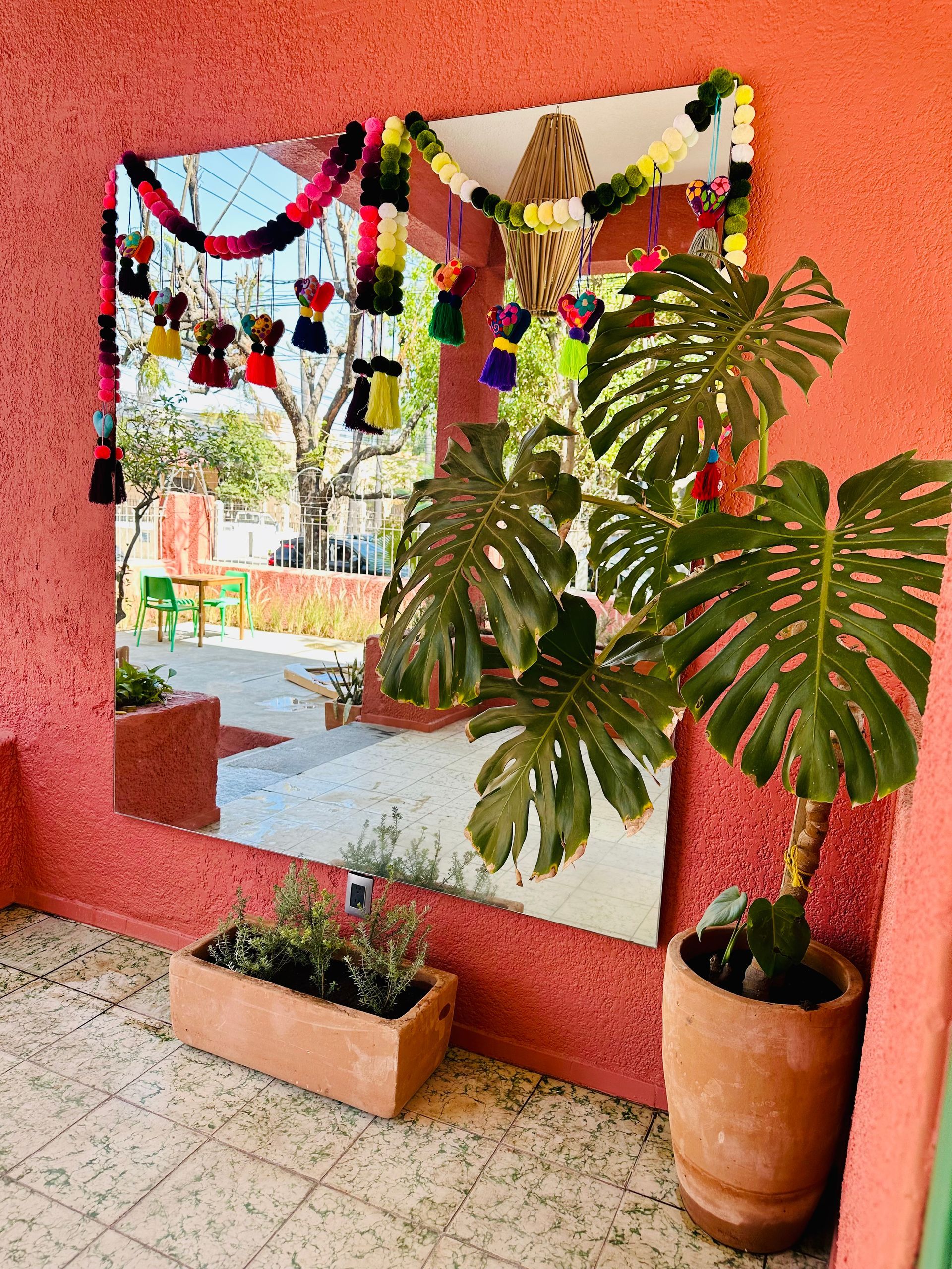 Un gran espejo está colgado en una pared rosa al lado de una planta en maceta.