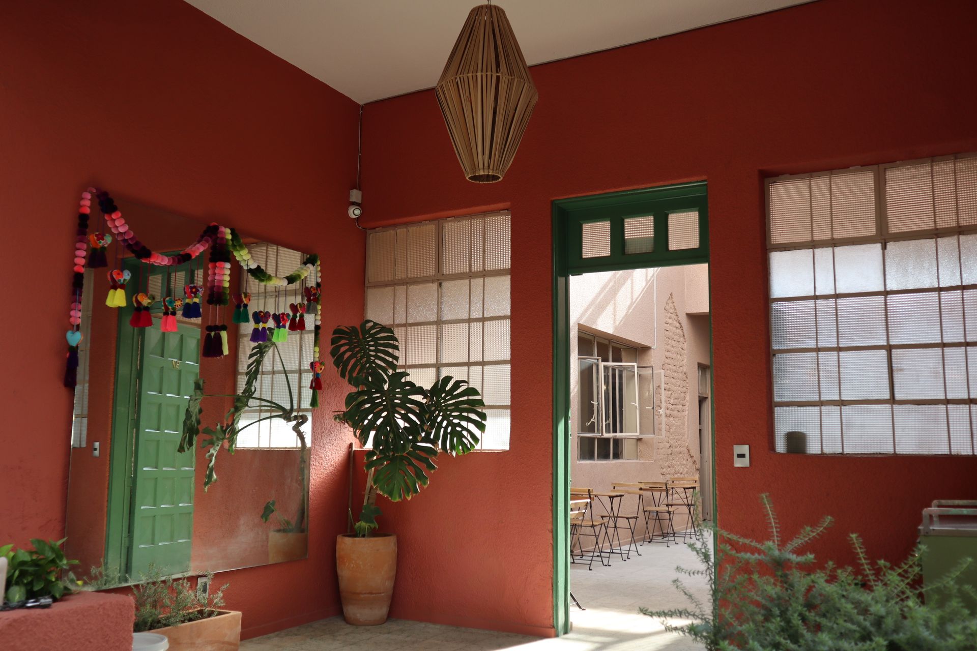 Una habitación con una planta en una maceta y un espejo en la pared.