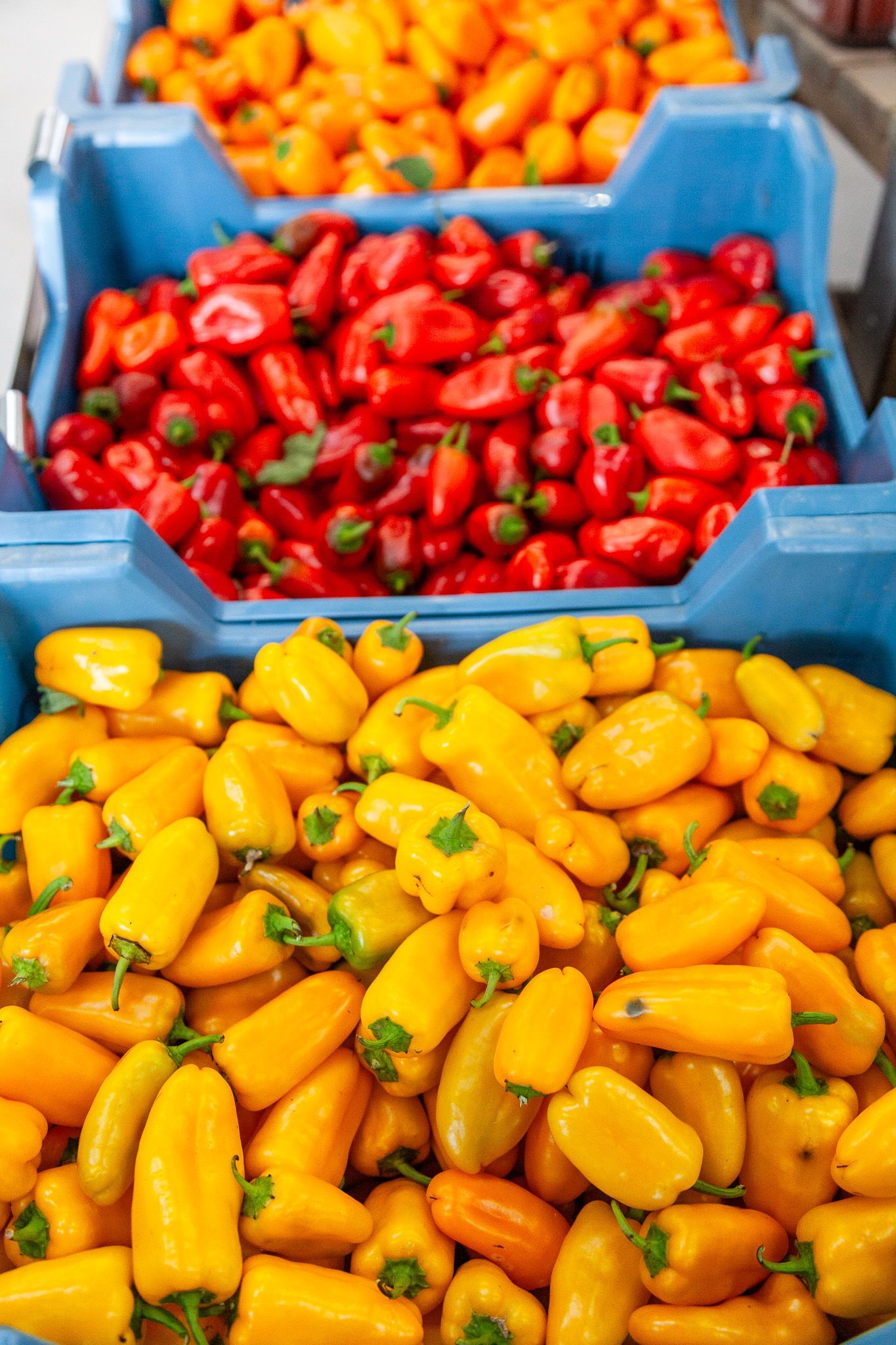 Galerie Image 3, Saveurs de nos fermes, magasin de fruits & légumes à Albertville