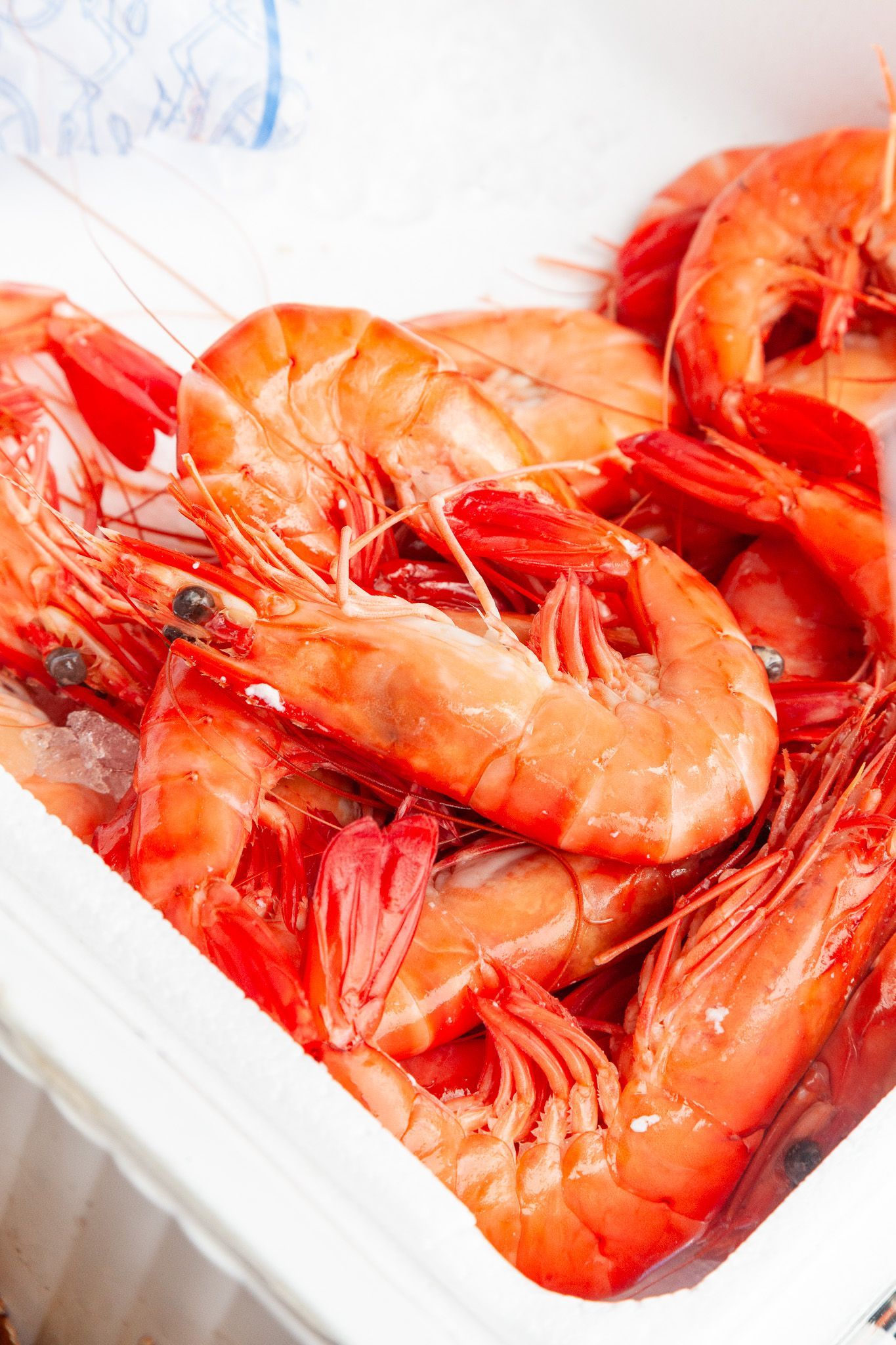 Galerie image 1, Saveurs de nos fermes, magasin de poissons et crustacés, poissonnerie à Albertville