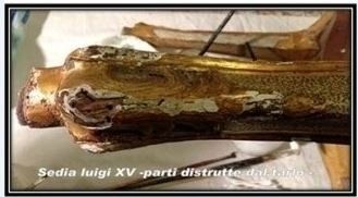 Restauro di una sedia Luigi XV - dorata e laccata (parti distrutte da tarlo)