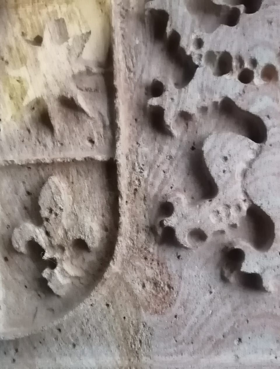 Primer plano de una talla de piedra erosionada que muestra un escudo con una flor de lis y una estrella, junto a una elaborada bestia mítica.