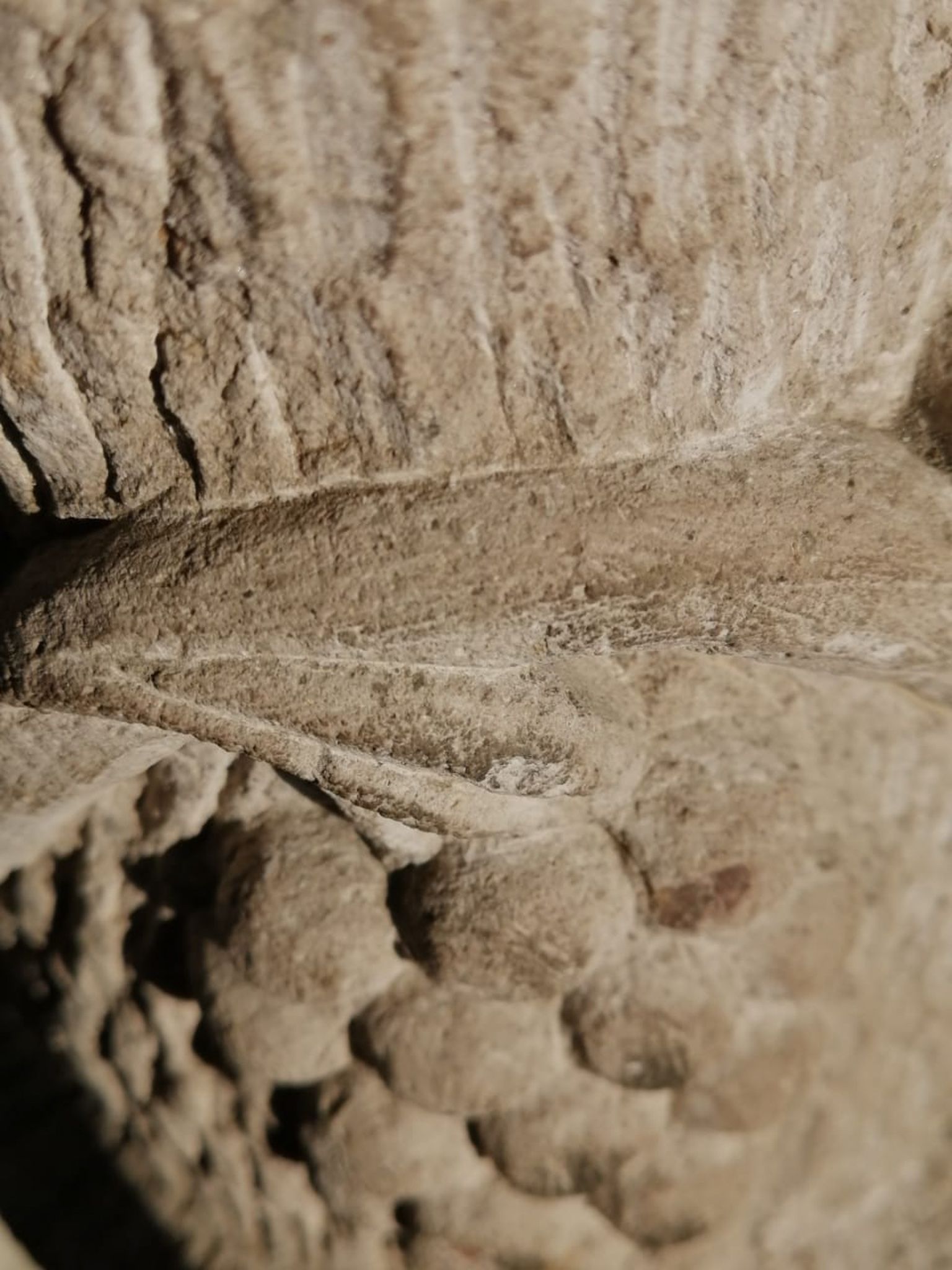 Primer plano de una talla de piedra texturizada con formas redondeadas, similares a guijarros, situada debajo de una repisa plana y horizontal.