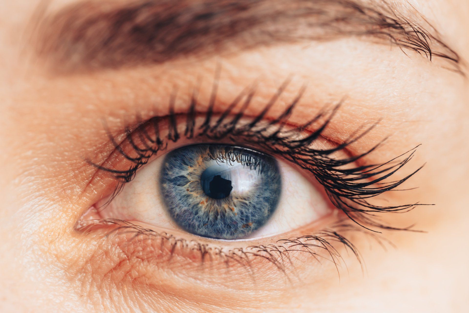 Examining Patient's Eyes - Tupelo, MS - Tupelo Eye Center