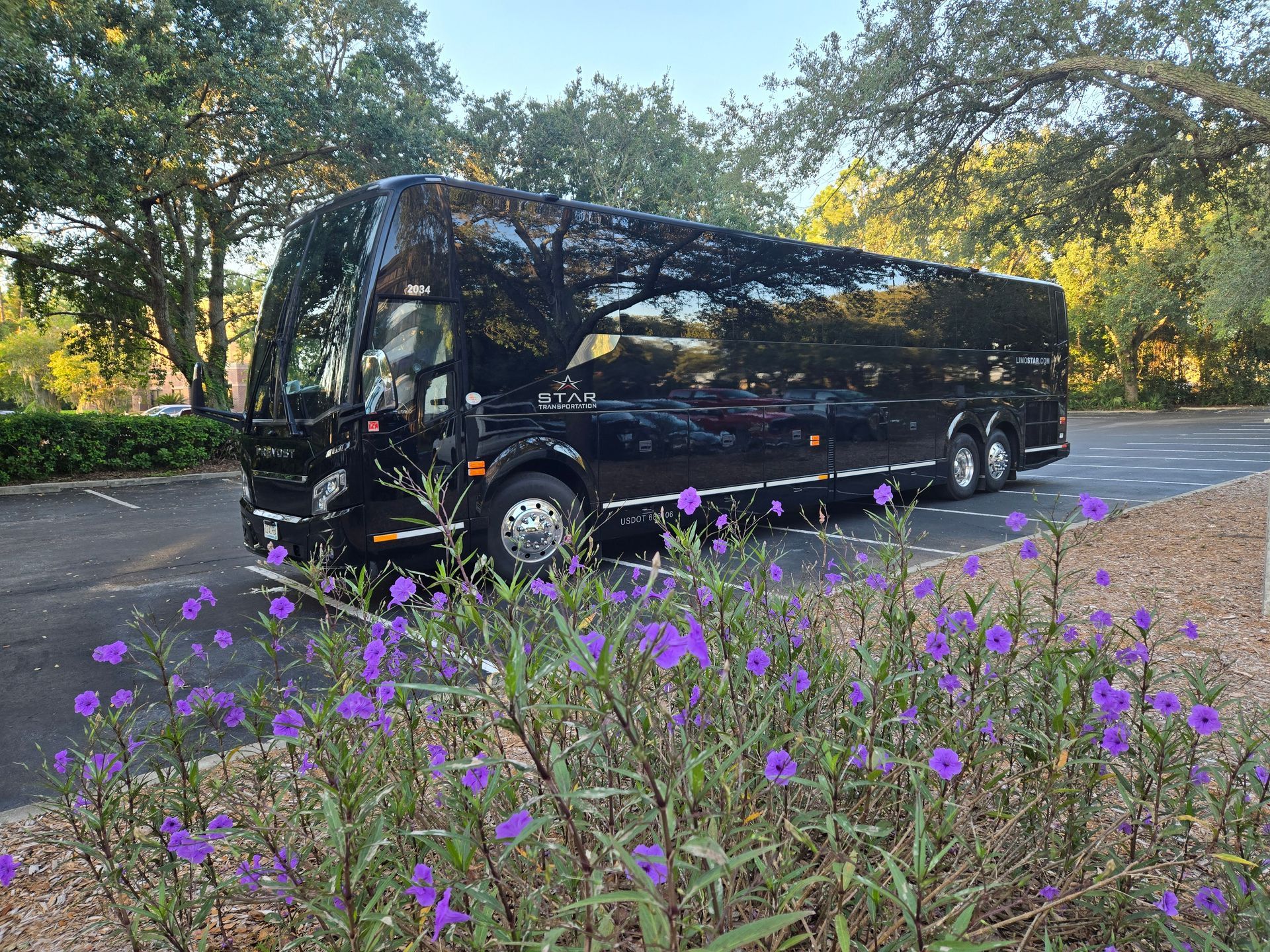 Black bus parked near purple flowers and green foliage.