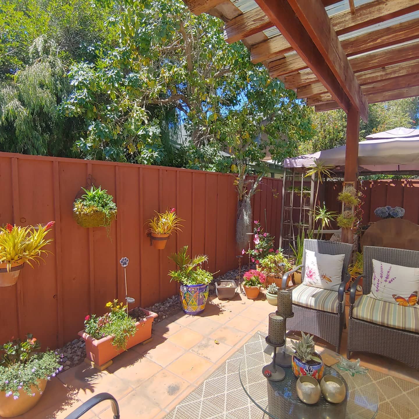 Staining Services in San Diego County