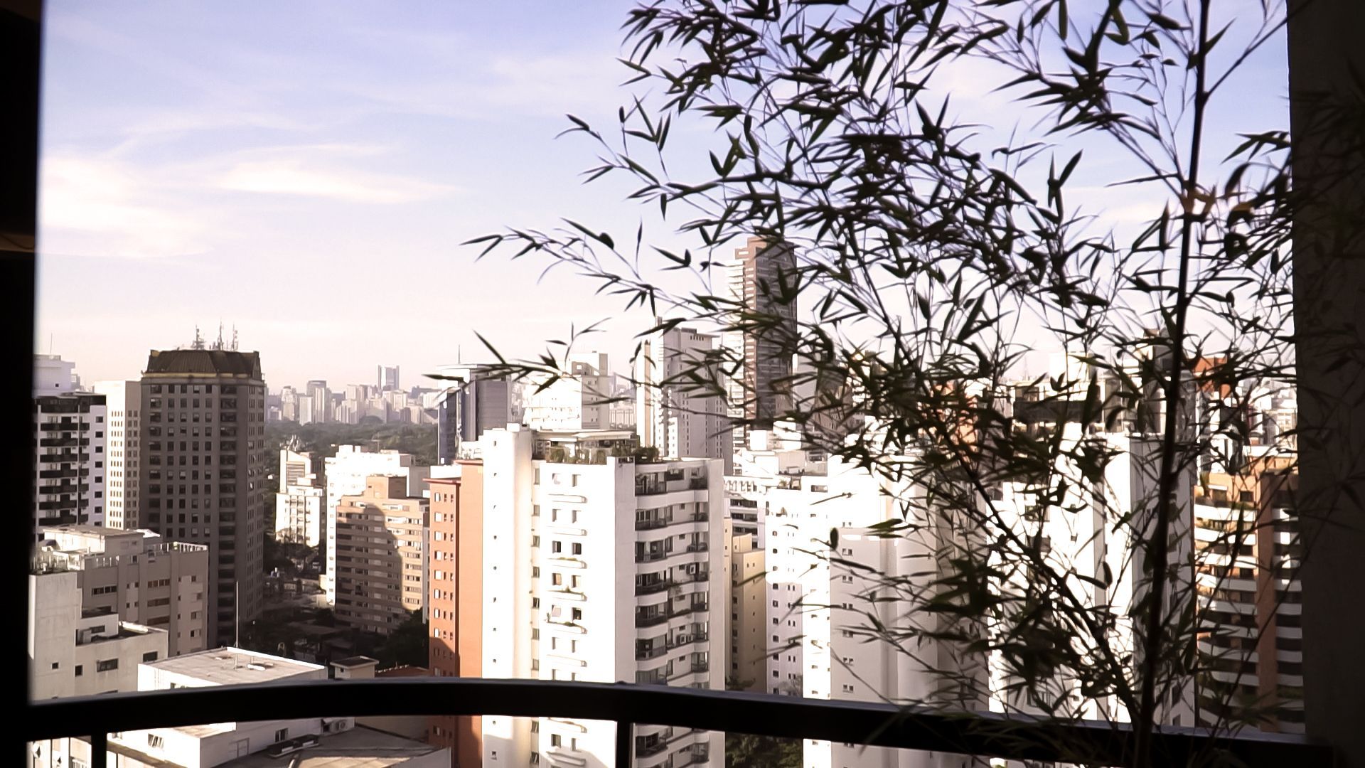 Vista de uma cidade a partir de uma varanda com uma árvore em primeiro plano