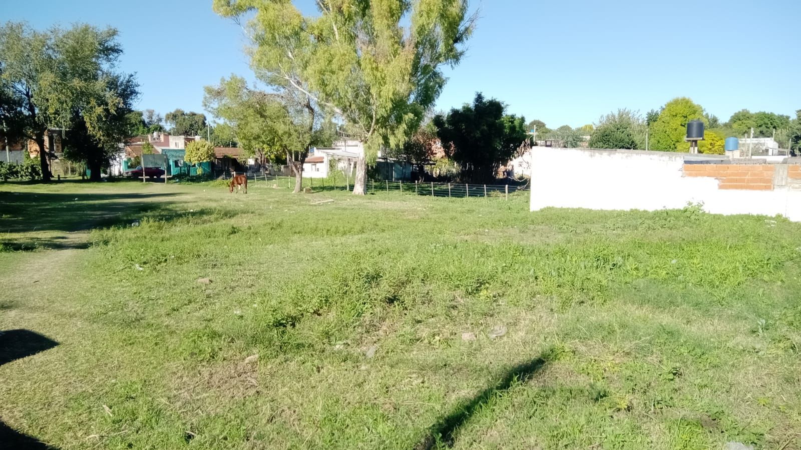 Terrenos